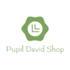 Pupil David